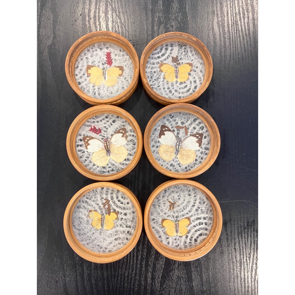 Vintage Bamboo Coasters Set of 6 Real Preserved Butterfly Glass Boho Decor